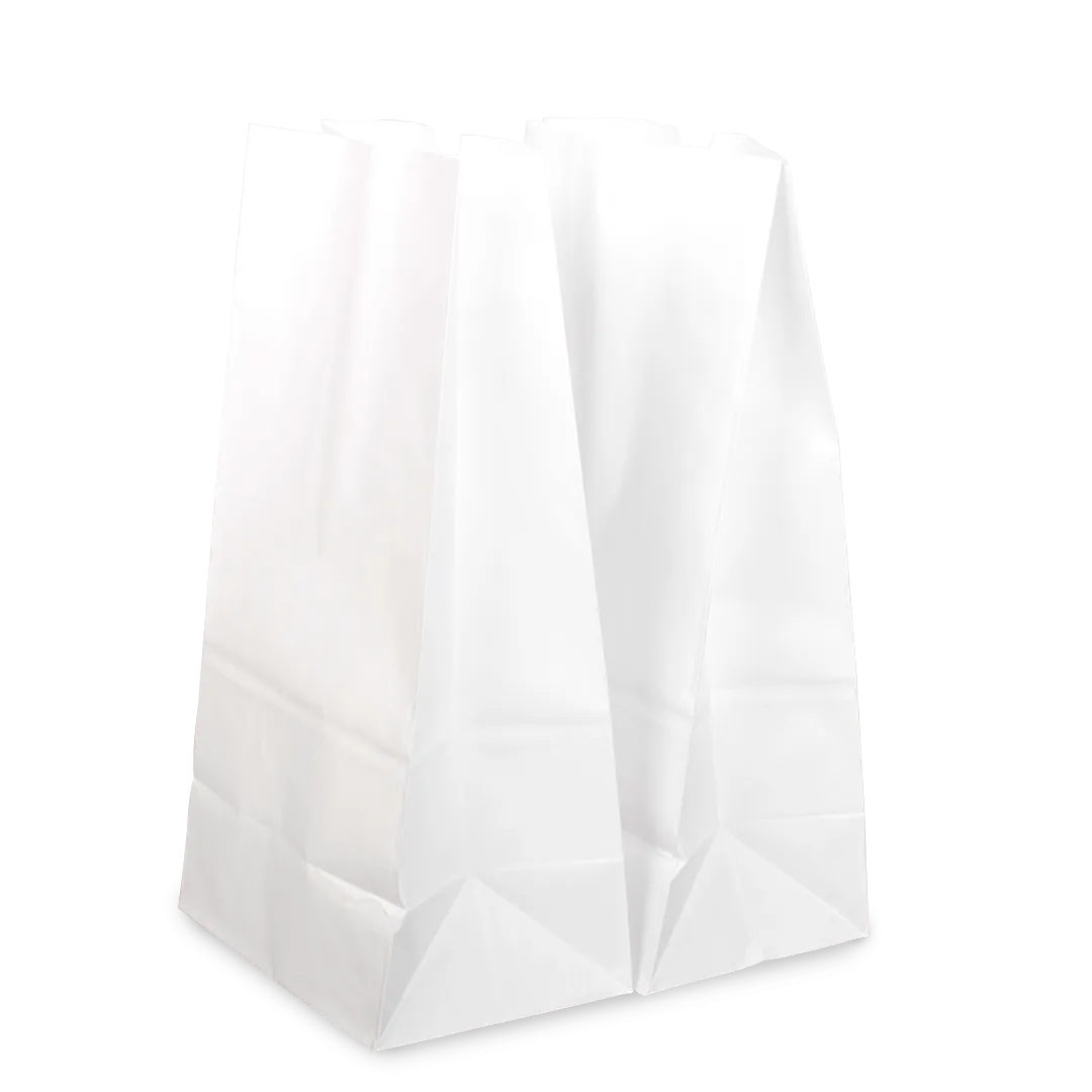 [500 ct] 20 lb Paper Bag, White