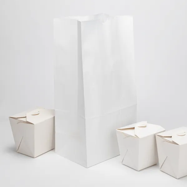 [500 ct] 20 lb Paper Bag, White