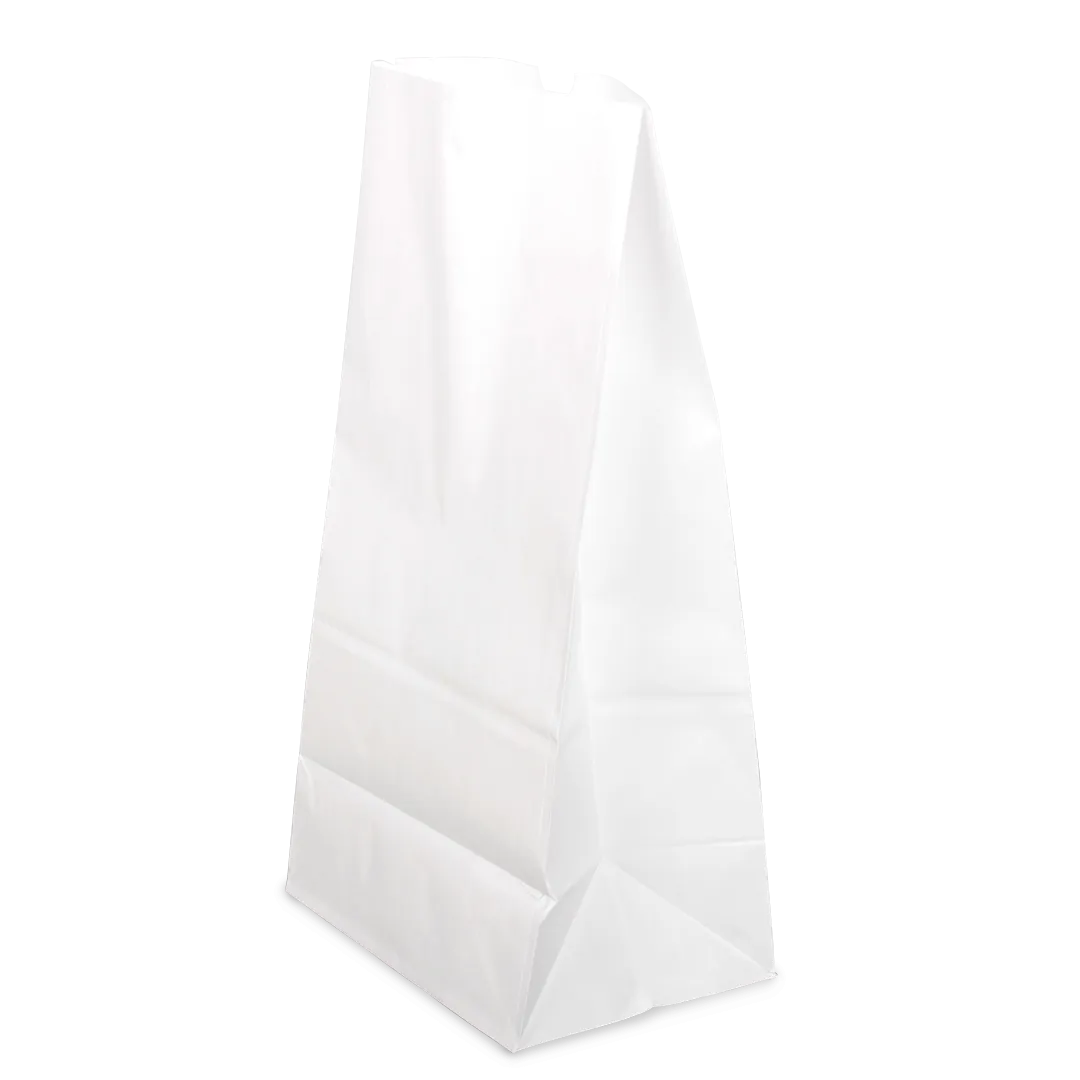 [500 ct] 20 lb Paper Bag, White