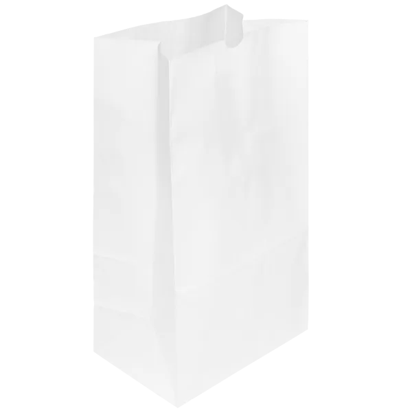 [500 ct] 20 lb Paper Bag, White