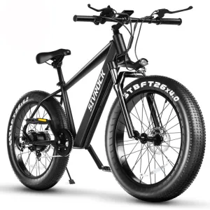 Professional Electric Bicycle E-Bike